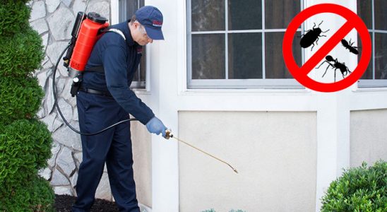 Kozaklı Uçan Haşere İlaçlama böcek ilaçlama ve haşere kontrolü — ilaclama-tr.com